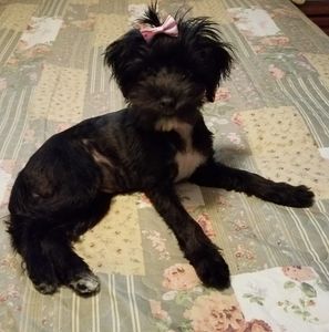 Meet your Posher, Tina